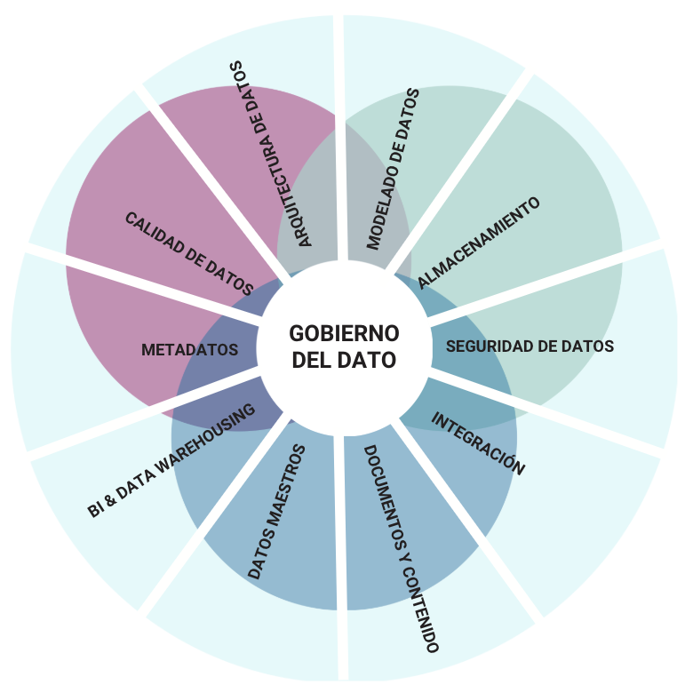 Diagrama radial con áreas clave del Gobierno y Gestión del Dato en formación tecnológica de Nextraining